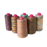 直销批发丝光段染五彩线七彩绣花线 服装鞋帽服饰使用电脑绣花线